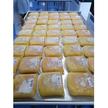 Швидкозаморожувач для плазми з системою інтелектуального контролю температури ТМ BASO модель BSSD-III-01