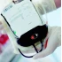 Одноразовые температурные индикаторы для крови Timestrip Blood Temp 6, код продукта TP302, уп. №100 8359