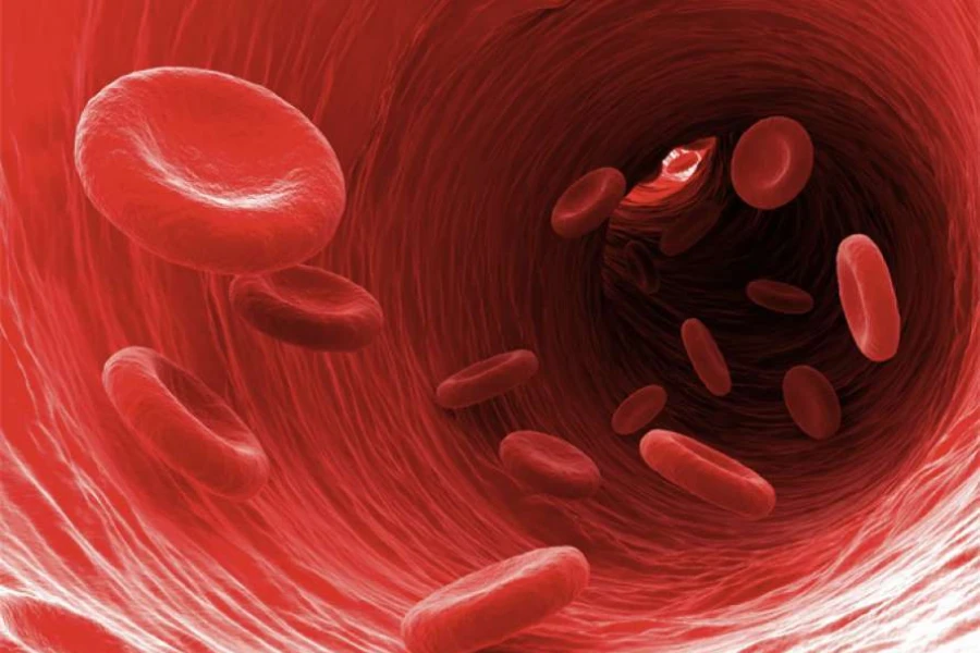 Интересные факты про кровь